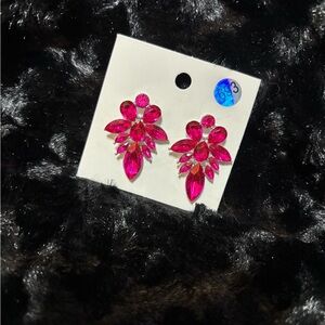 Elegant Hot Pink Crystal Earrings